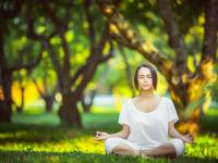 开云体育APP下载-猛龙对阵火箭，米切尔里程碑之夜，见证新一代得分手的崛起