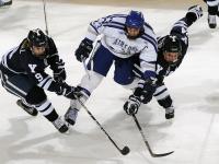 开云足球直播-劳塔罗生涯之夜，摩纳哥的星光下，马竞防线被他一人刺穿