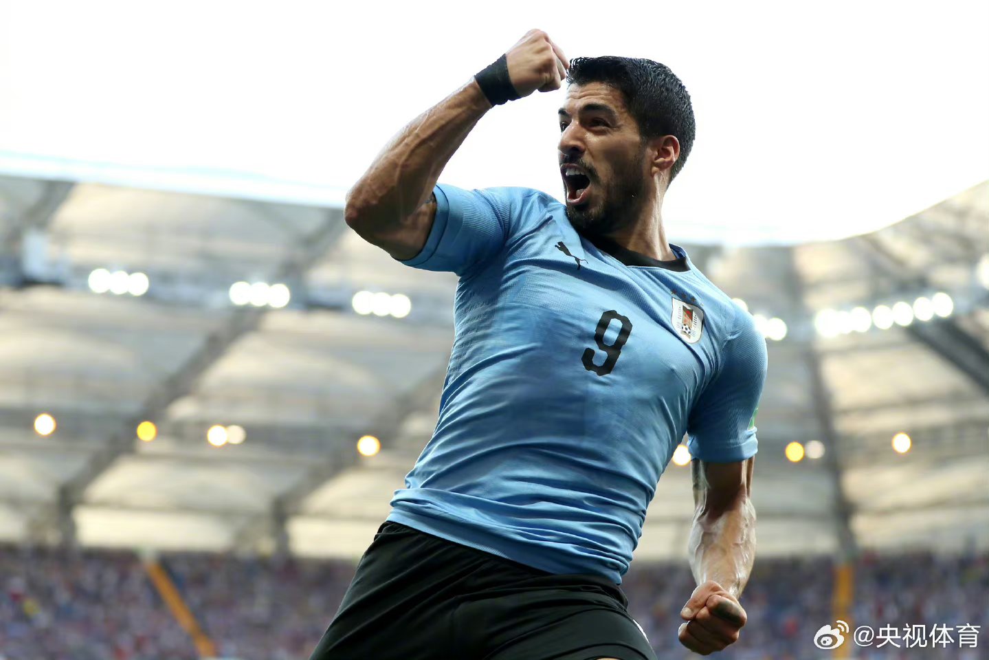 包含阿根廷血洗克罗地亚，苏亚雷斯惊艳世界的词条