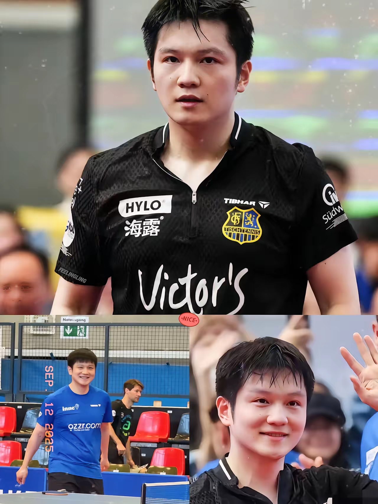 英国乒乓球队横扫波兰乒乓球队，王皓惊艳世界